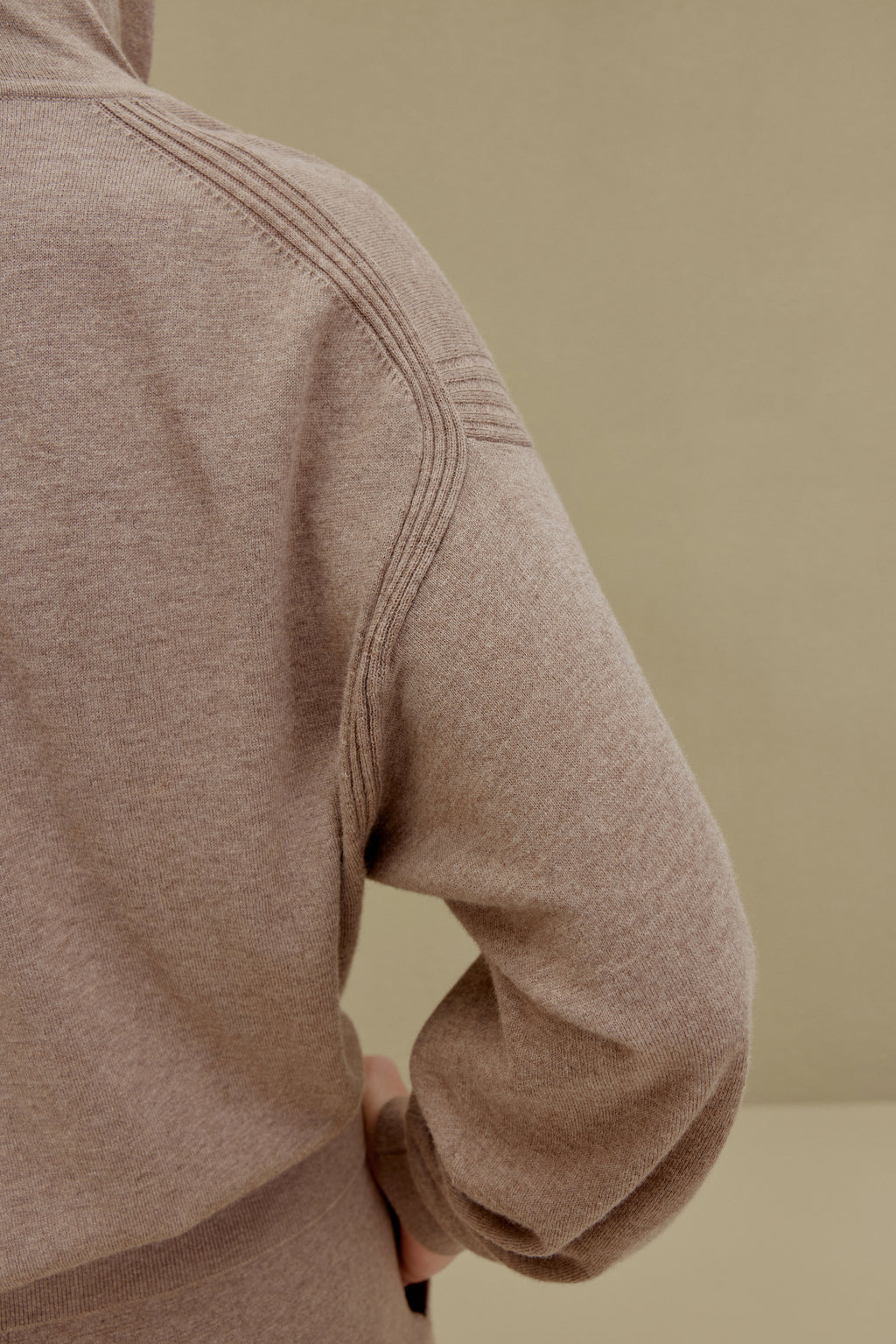 Details about the Camel hoodie