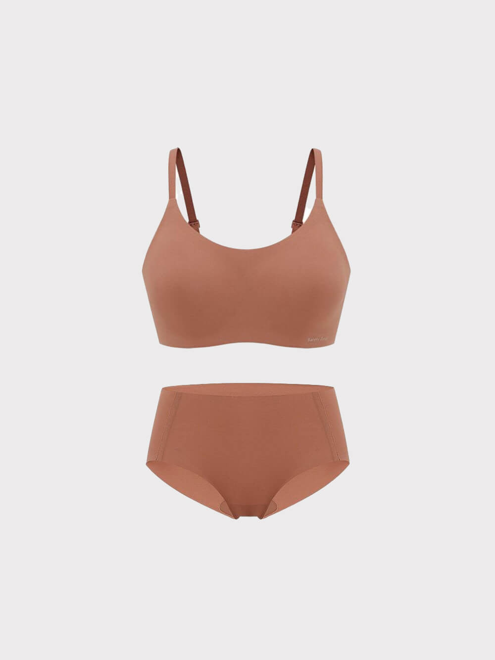 rust color bra and brief flat lay