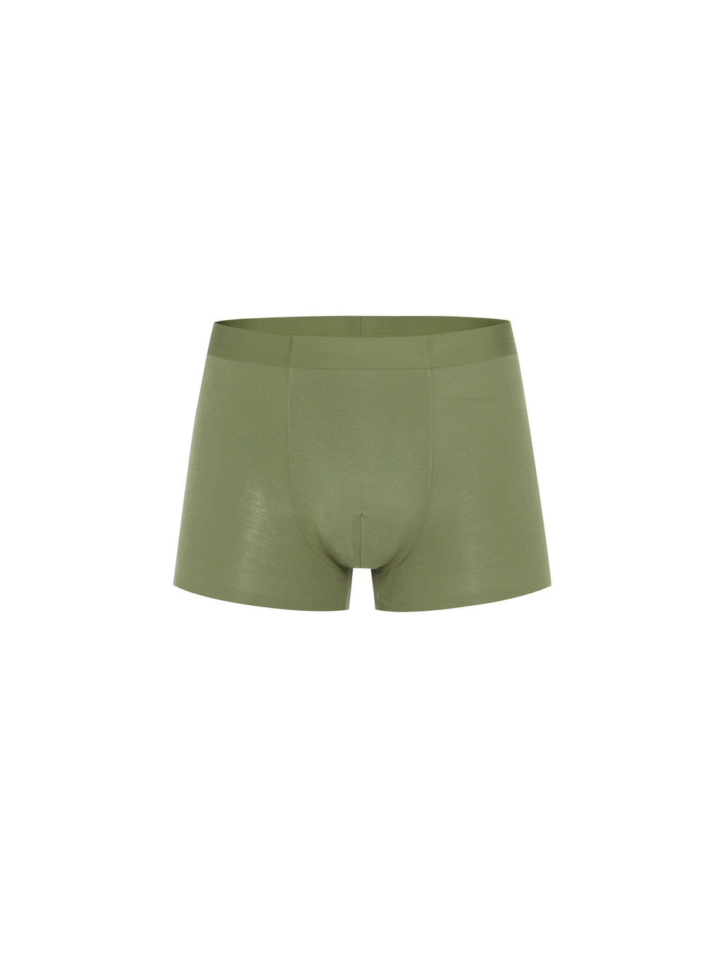 Flat lay of green boxer briefs. Iguana color.