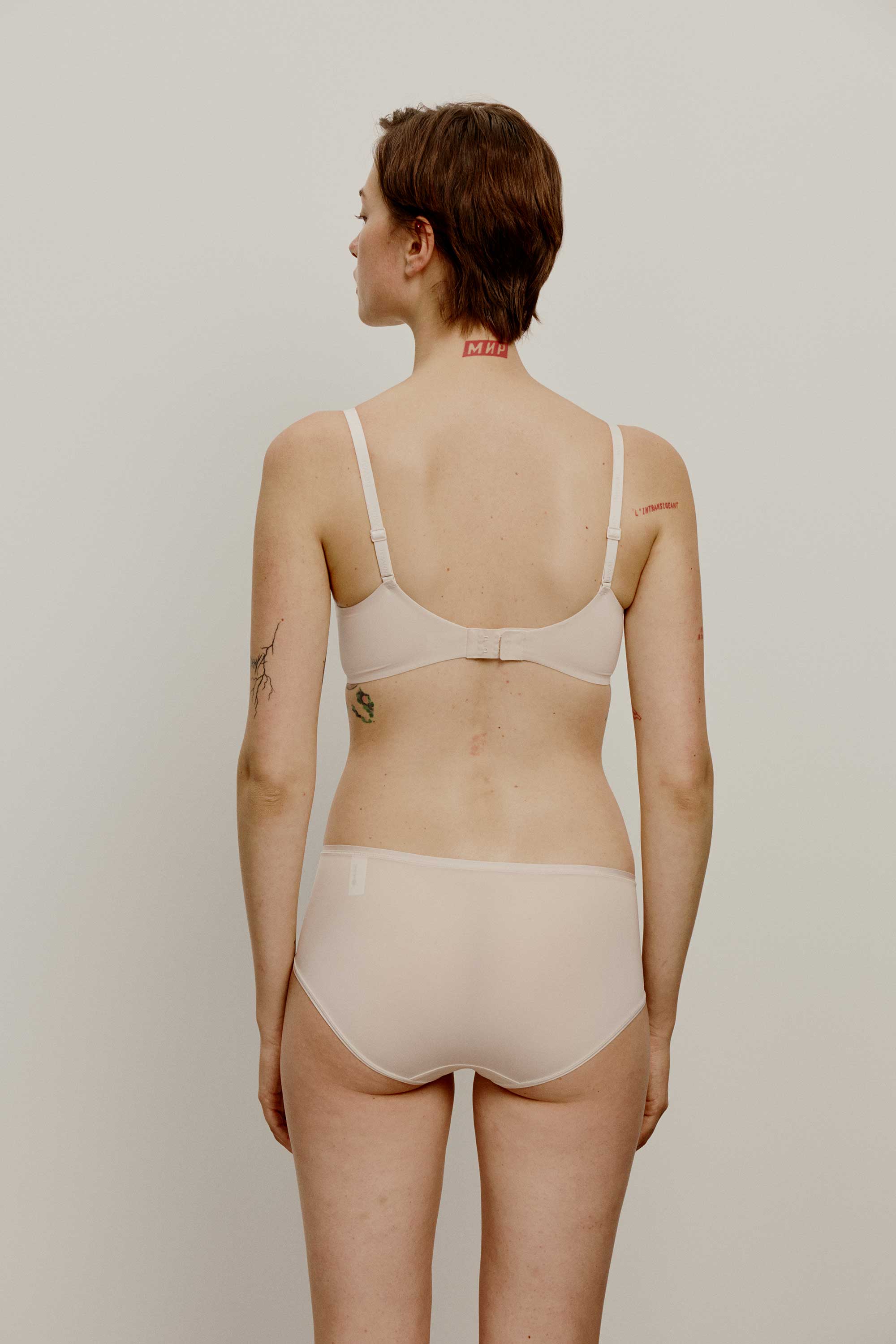 back of brief