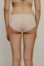 back of brief