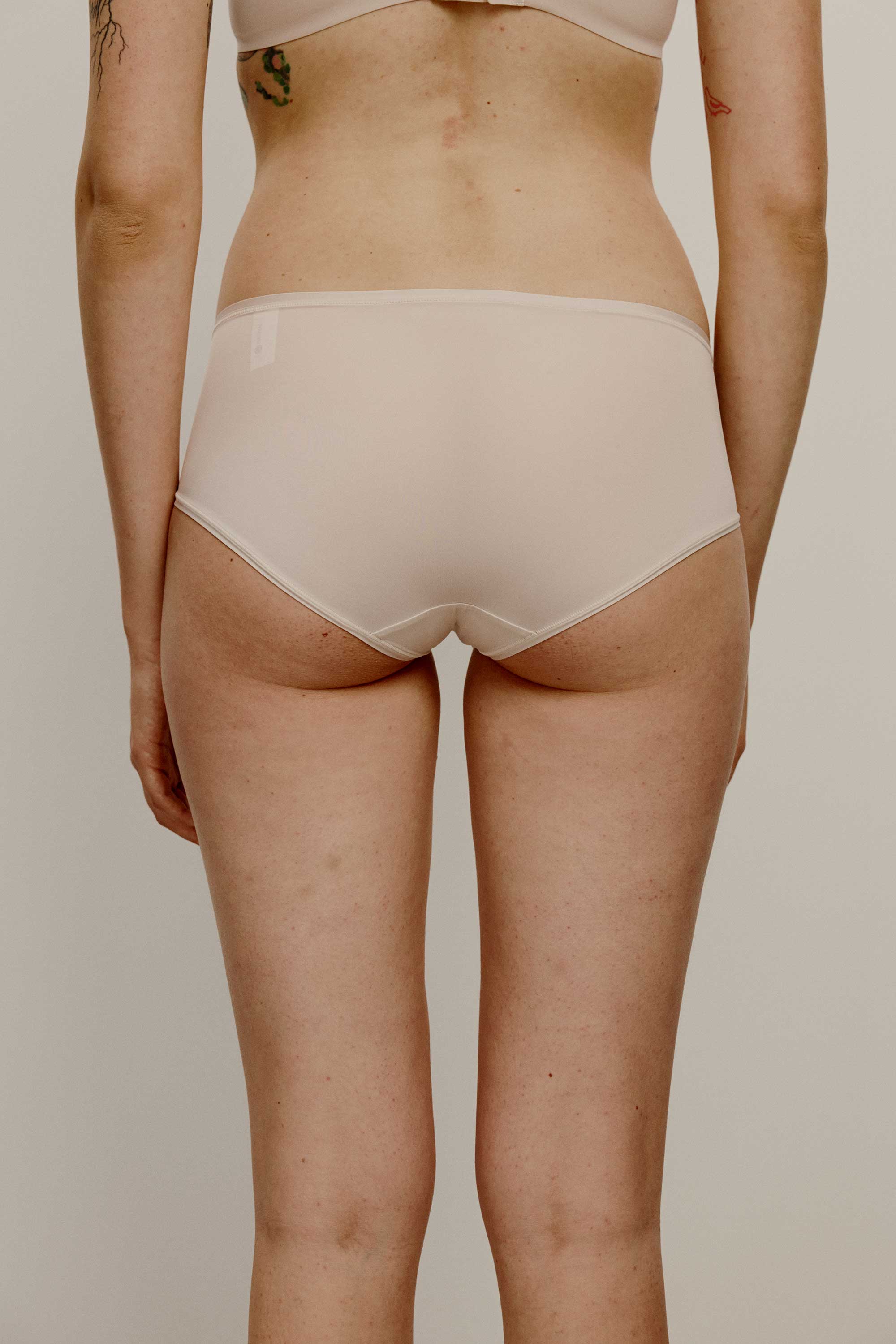 back of brief