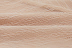 swatch of almond brief 