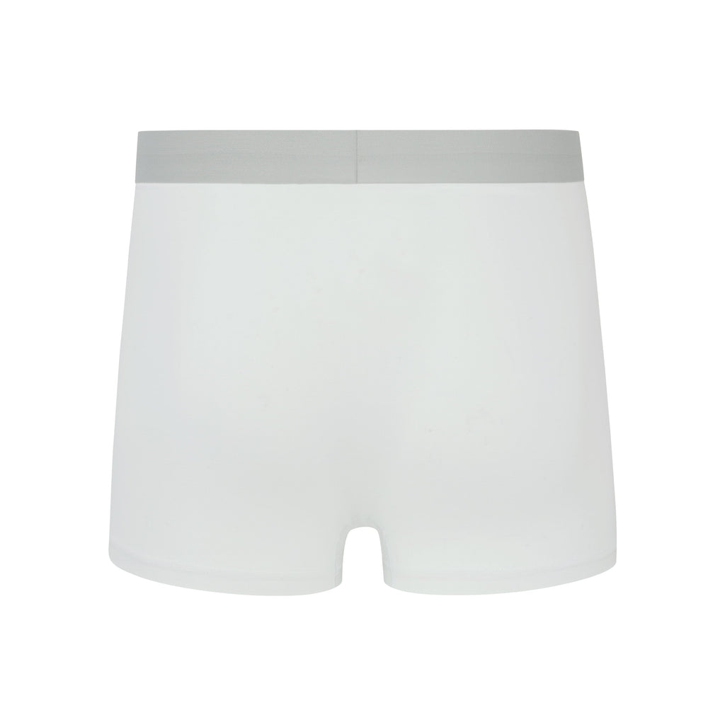 Flat lay of back of gray boxer briefs with gray waistband. White color.