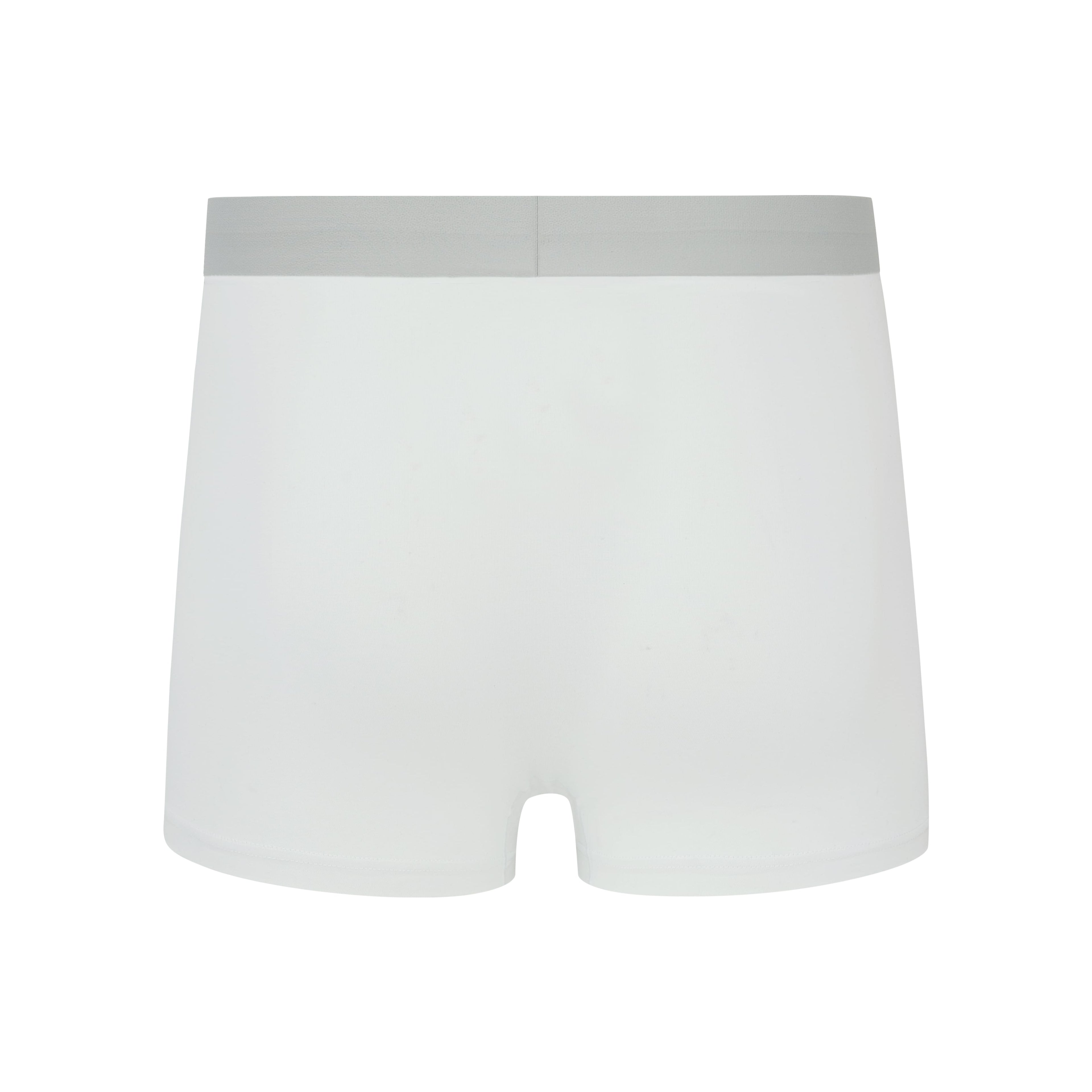 Flat lay of back of gray boxer briefs with gray waistband. White color.
