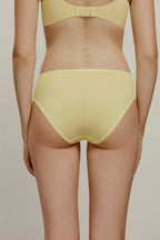 back of brief