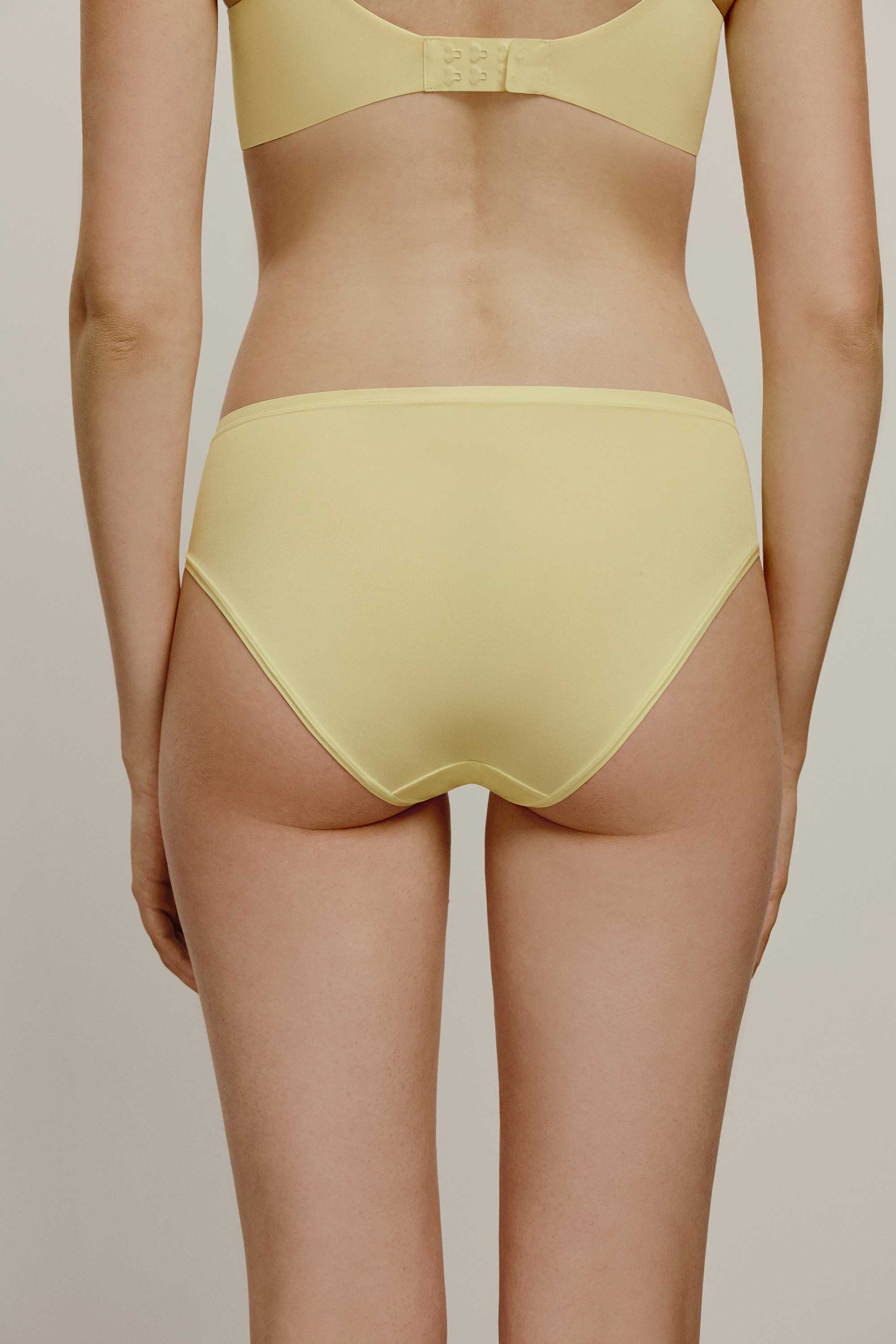 back of brief